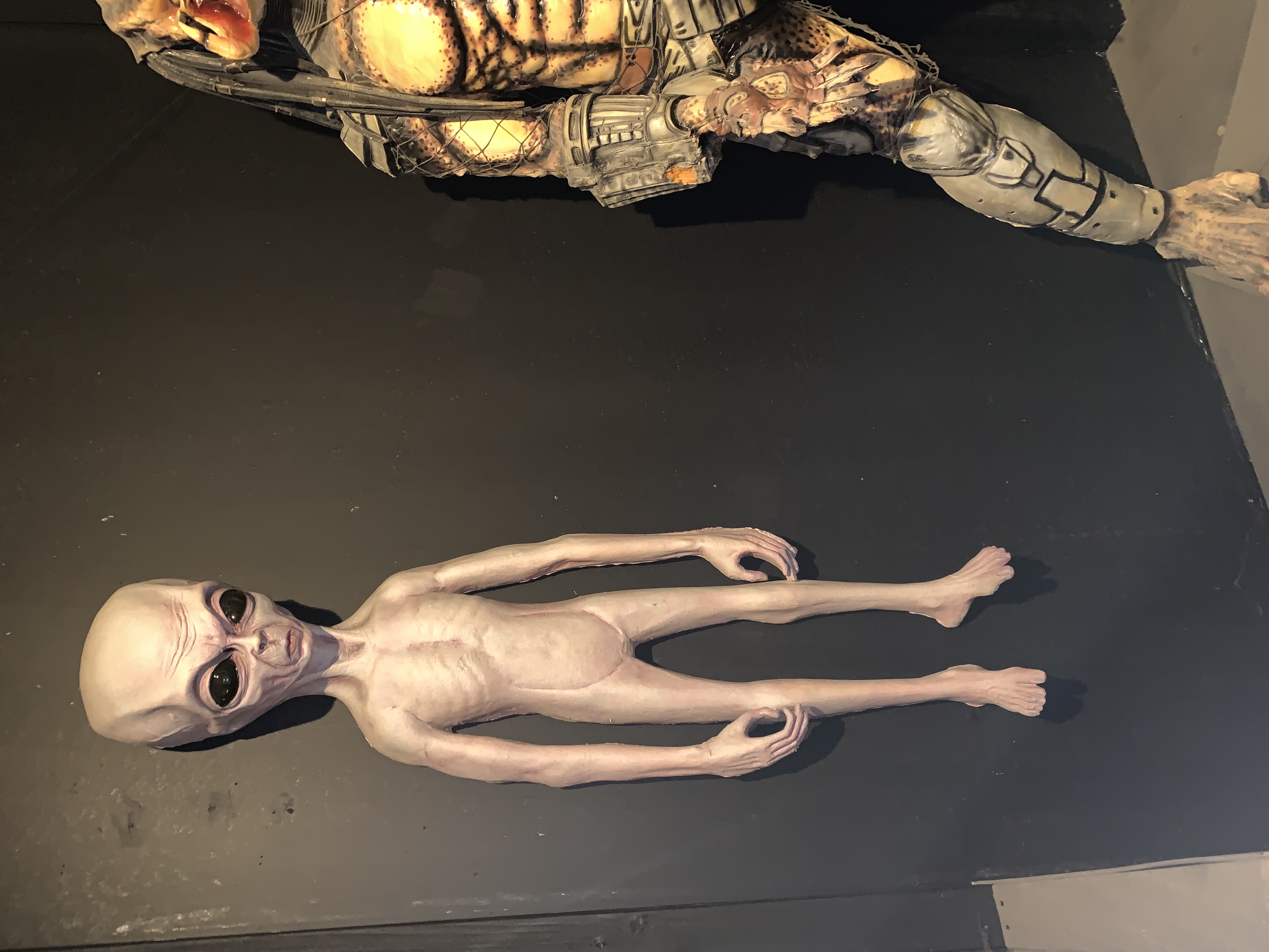 ./2022/06 - St Louis/06 - Day 6/20220526-152759562.JPG